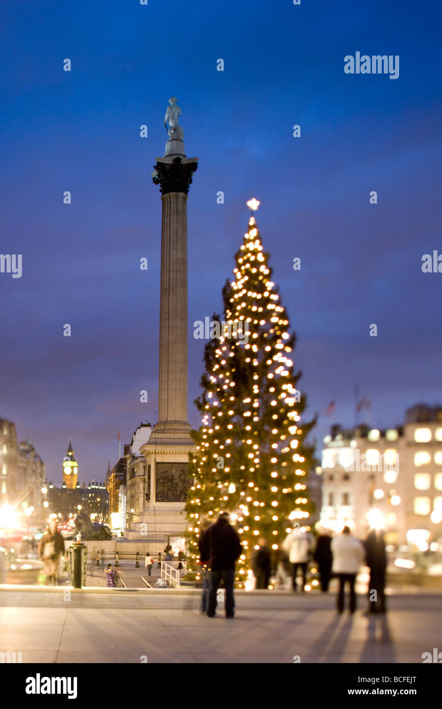 Trafalgar Square à Noël, Londres, Angleterre Banque D'Images
