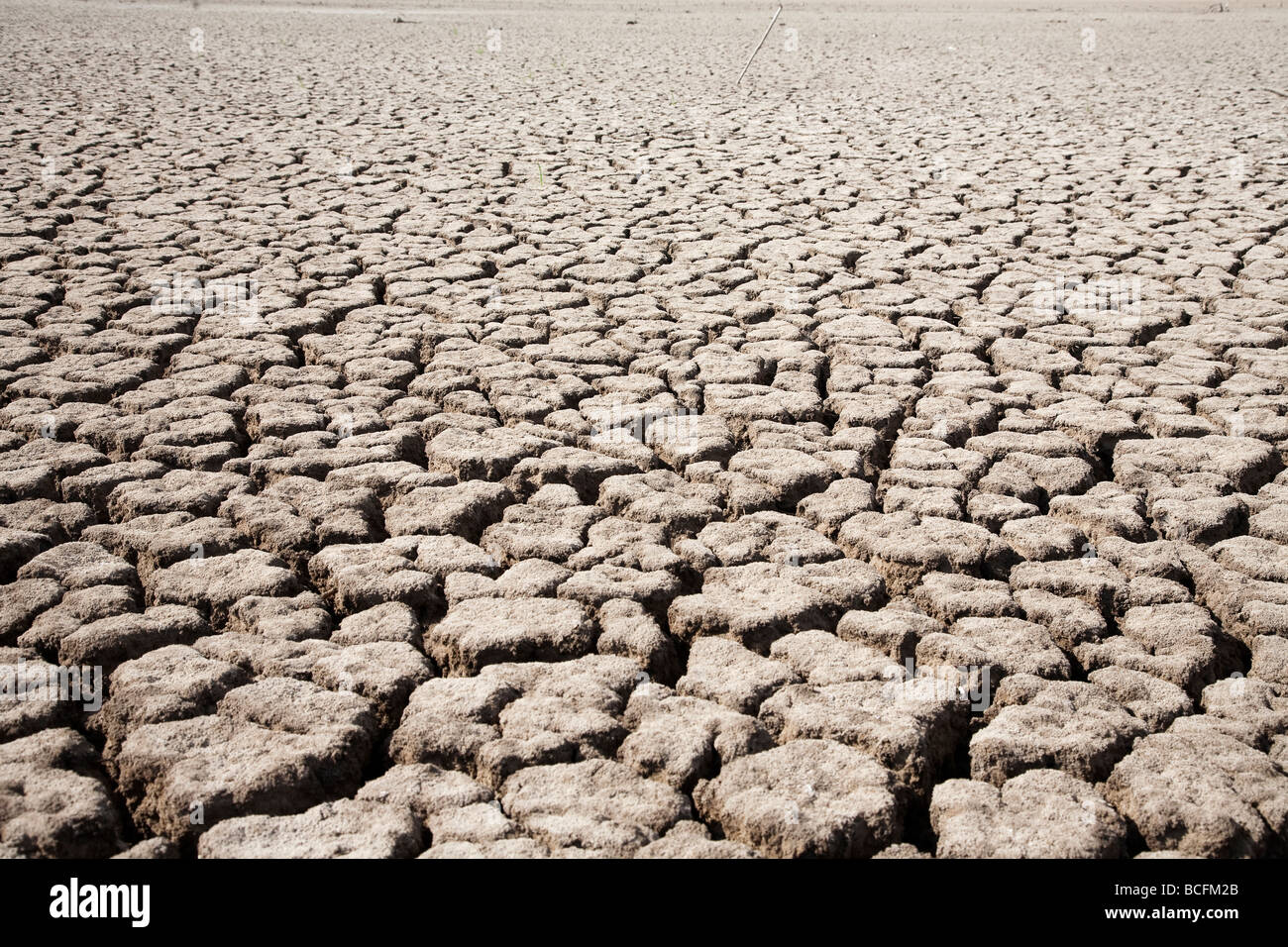 La sécheresse de la terre craquelée desséchée arrid sec le réchauffement de fissures sans eau Banque D'Images