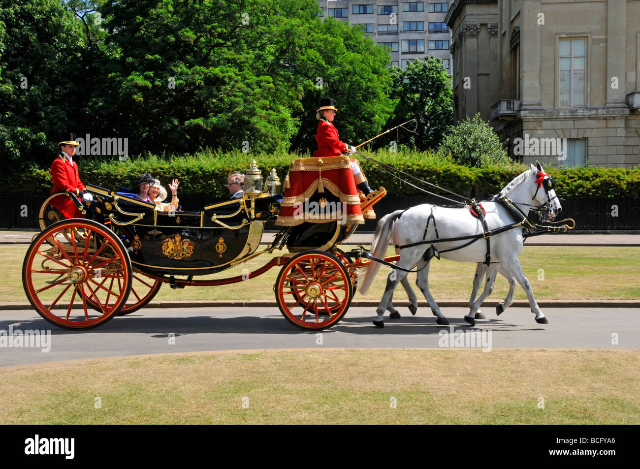 Paire de chevaux gris dessinant une calèche ouverte souvent vu transportant des dignités entre les ambassades étrangères et Buckingham Palace à Londres Angleterre Royaume-Uni Banque D'Images