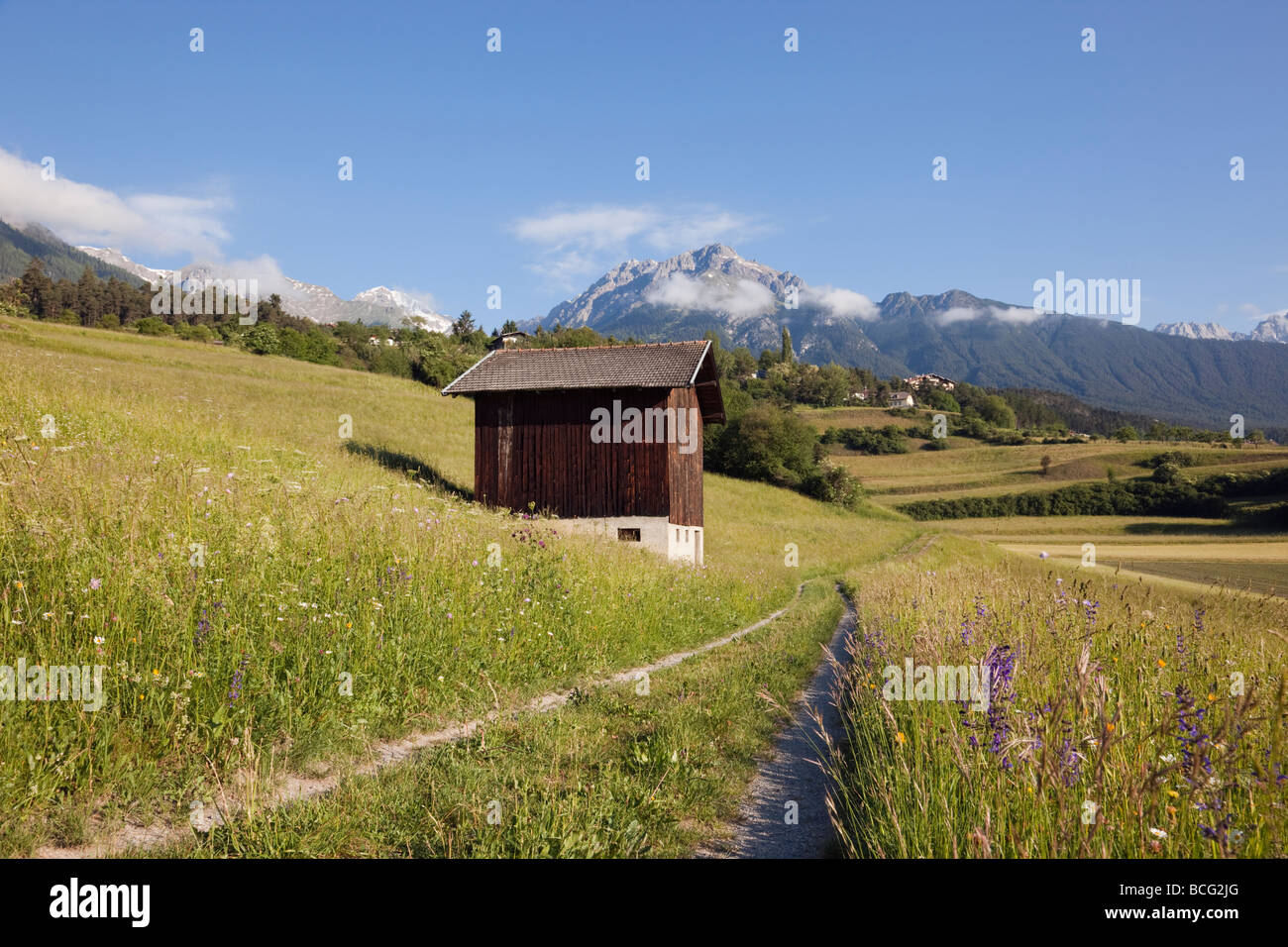 La voie et la grange en été fleur Alpine Meadows dans la vallée verte en début de matinée. Imst Tyrol Autriche Europe. Banque D'Images