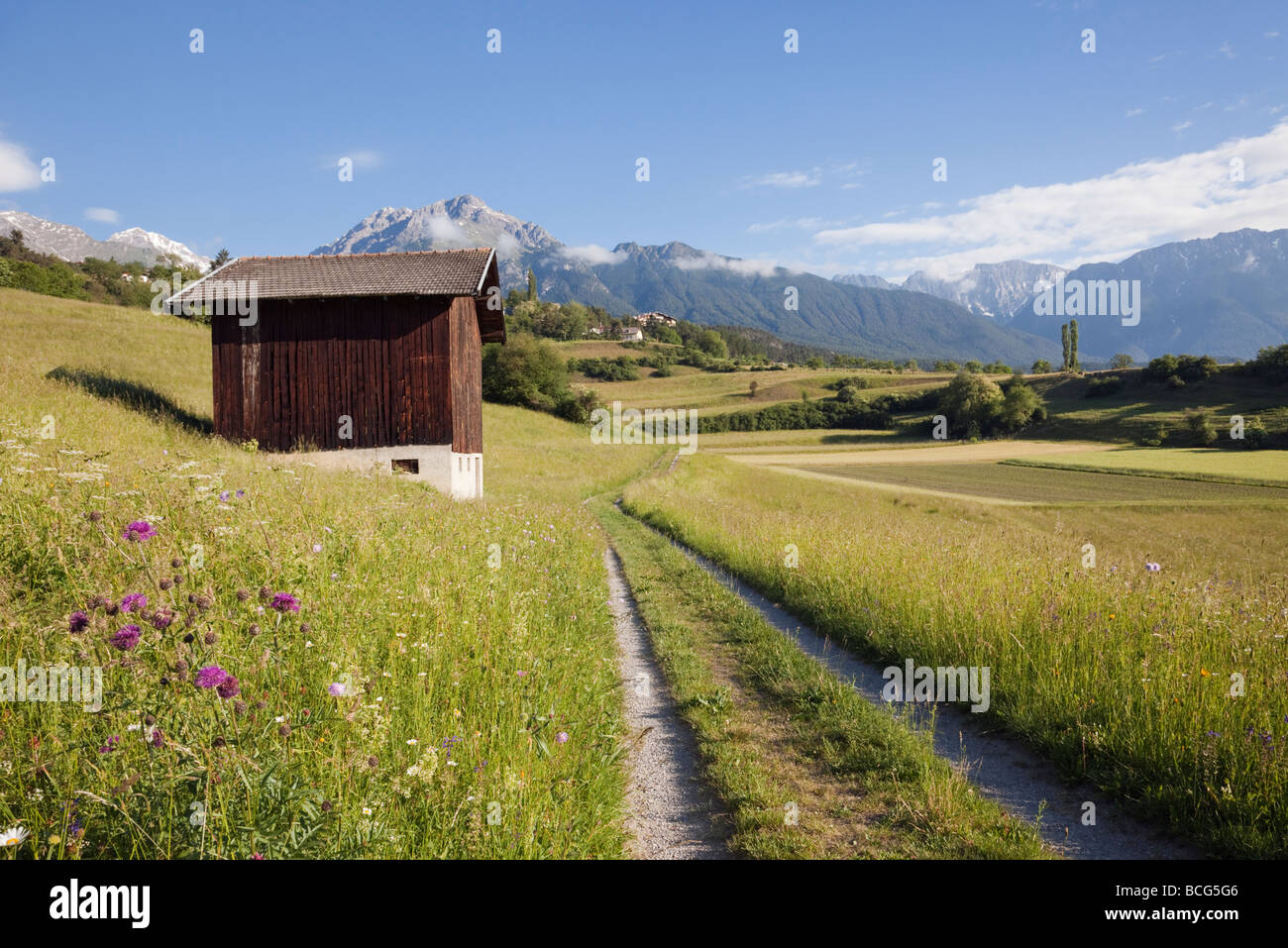 Imst Tyrol Autriche Europe Juin Voie et grange en été fleur Alpine Meadows à green valley Banque D'Images