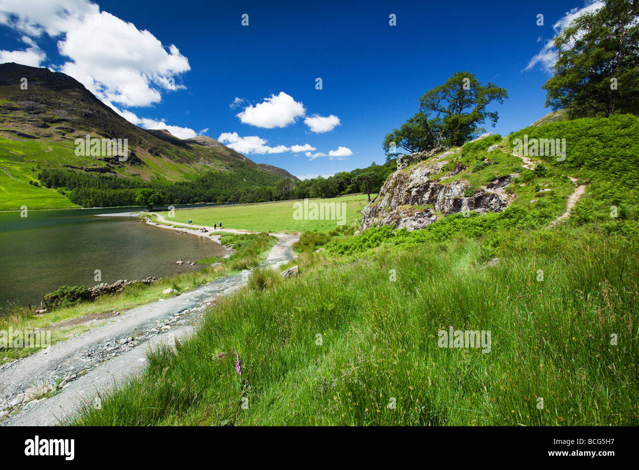 Le sentier du littoral du lac Buttermere autour du lac, 'le Lake District' Cumbria England UK Banque D'Images