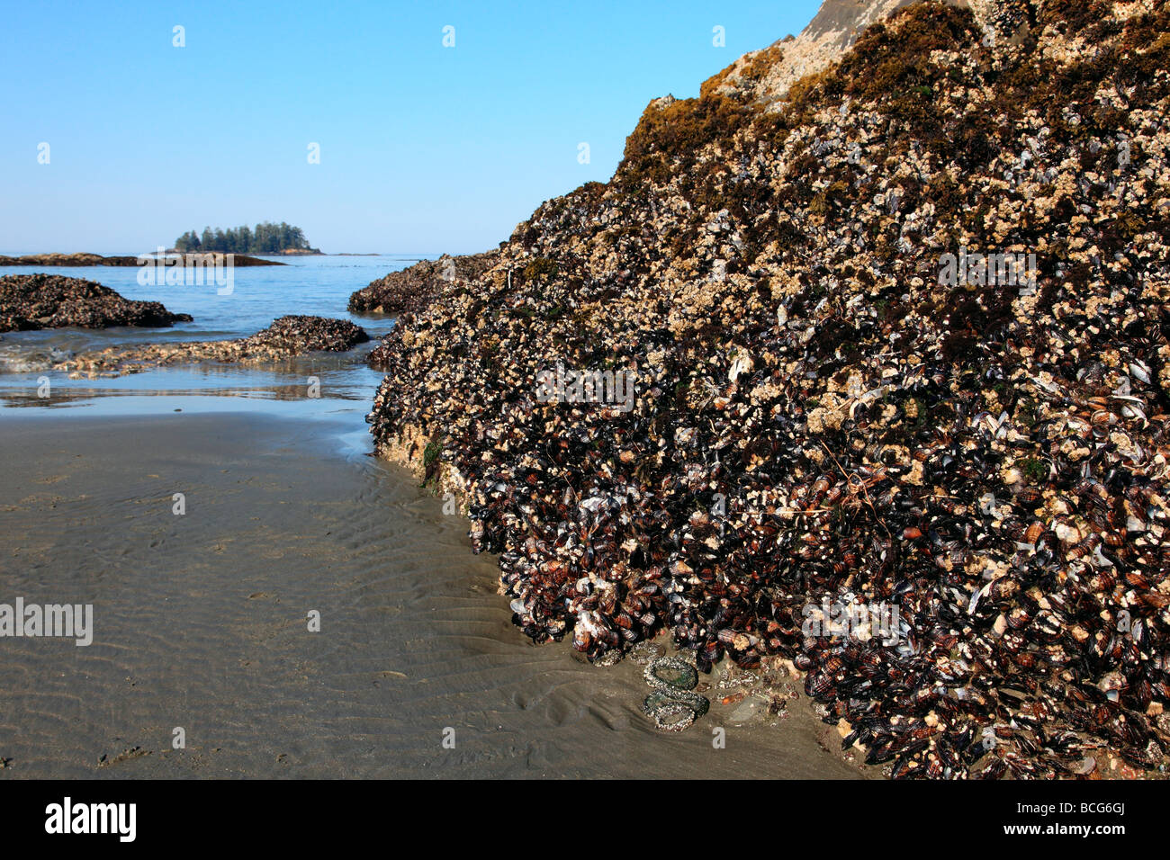 Plage à marée basse un lever du soleil Banque D'Images
