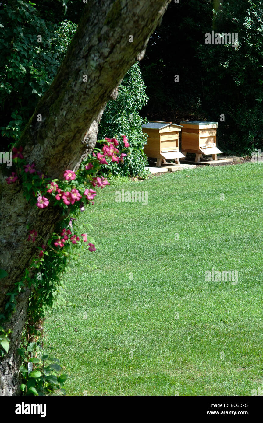 Jardin anglais scène avec ruches Banque D'Images