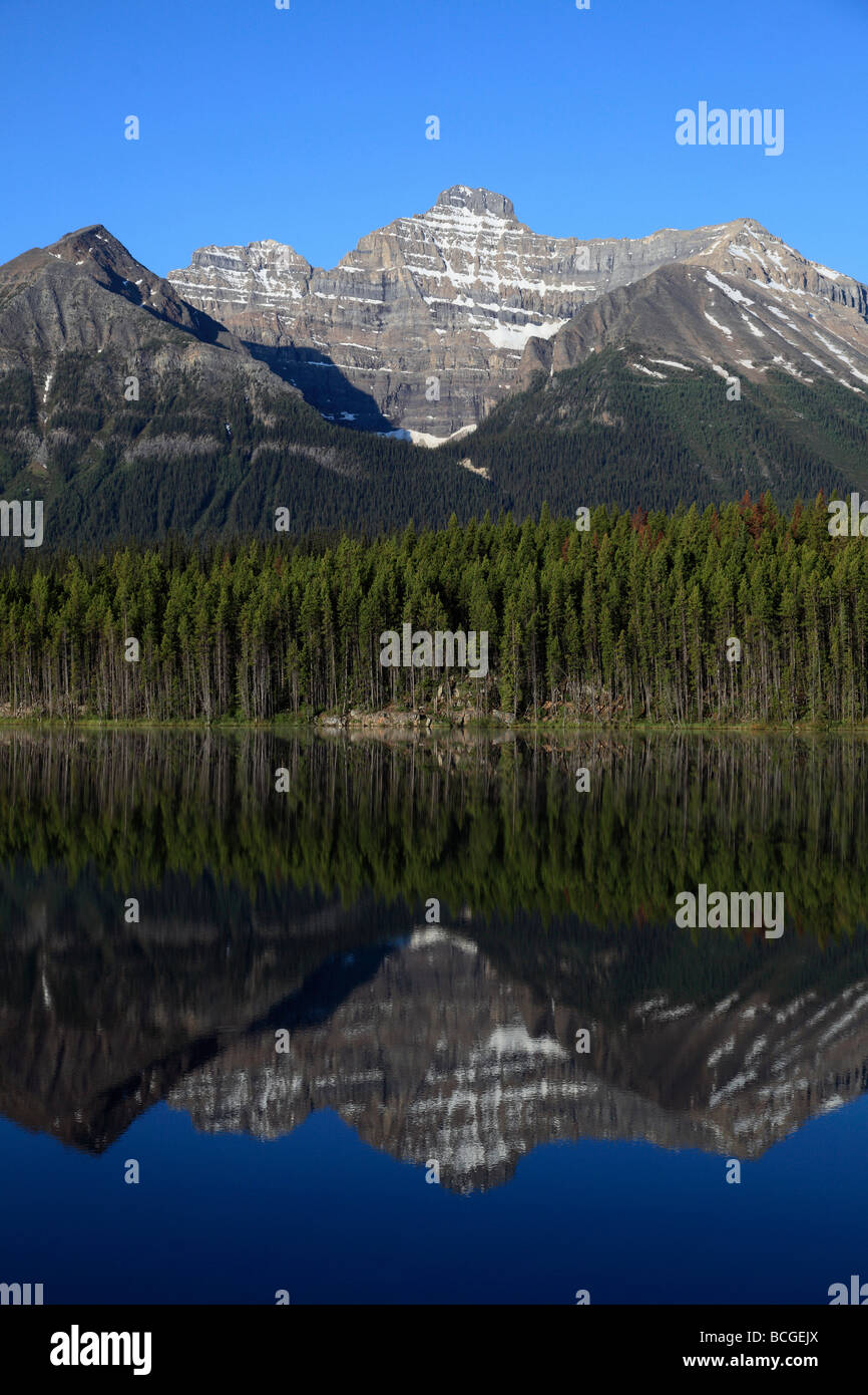 Canada Alberta Banff National Park Herbert Lake Montagnes Rocheuses Banque D'Images