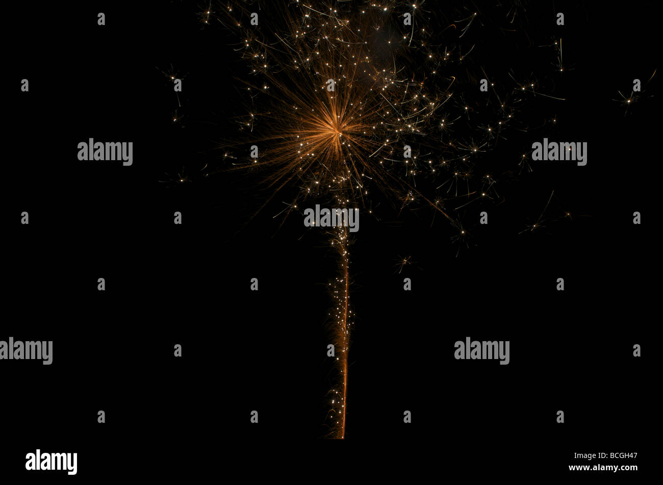 Fireworks - 'Golden Flower" Banque D'Images