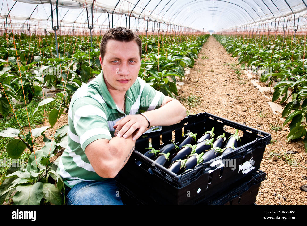 Romanas Revuckass abshot agriculteur Manager à peu de pièces d'Barfoots Fareham ferme de Botley Banque D'Images
