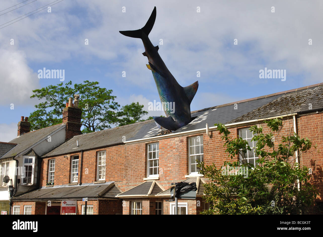 Headington shark, Oxford, Oxfordshire, England, UK Banque D'Images