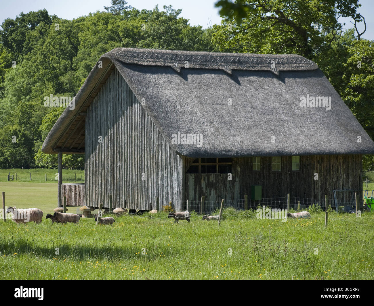 Une vieille grange de chaume sur les Cotswolds utilisé comme un cricket pavillion Banque D'Images Une vieille grange de chaume sur les Cotswolds utilisé comme un cricket pavillion Banque D'Images