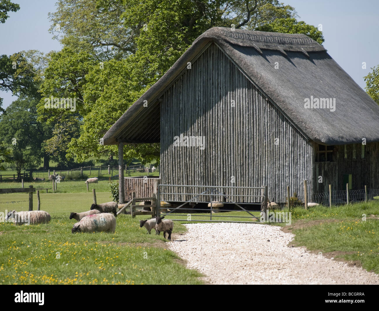 Une vieille grange de chaume sur les Cotswolds utilisé comme un cricket pavillion Banque D'Images Une vieille grange de chaume sur les Cotswolds utilisé comme un cricket pavillion Banque D'Images
