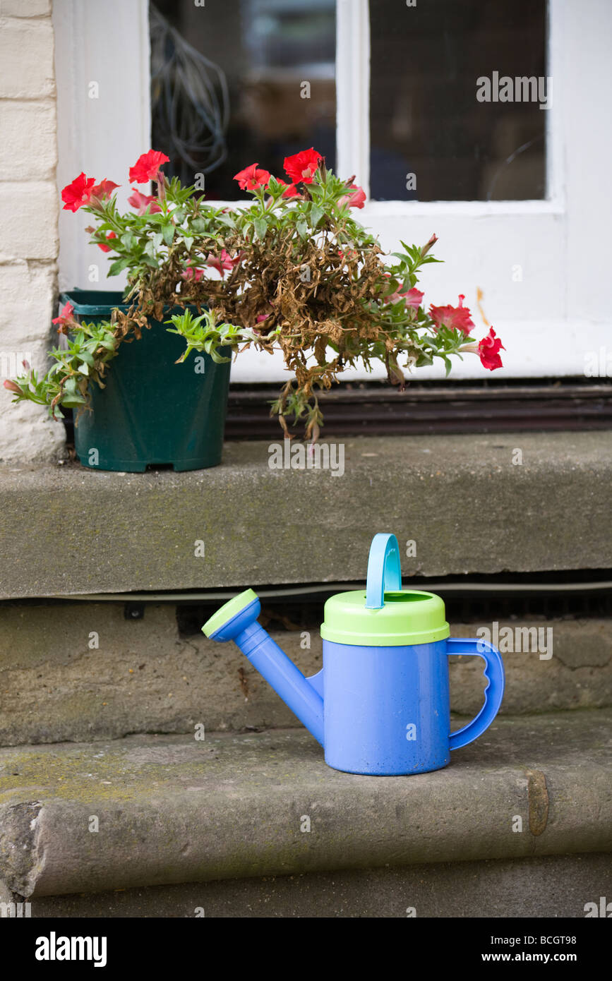 Un arrosoir plastique de l'enfant sur un pas par la porte arrière et une plante à fleurs rouges. Jardin anglais. UK. Banque D'Images