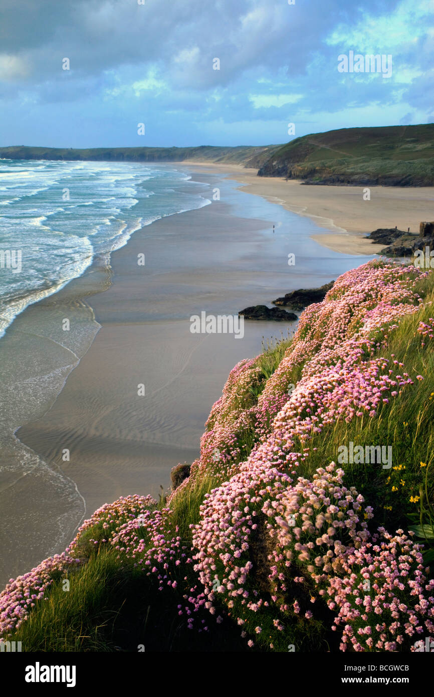 Broad oak beach avec l'épargne en fleur Cornwall Banque D'Images