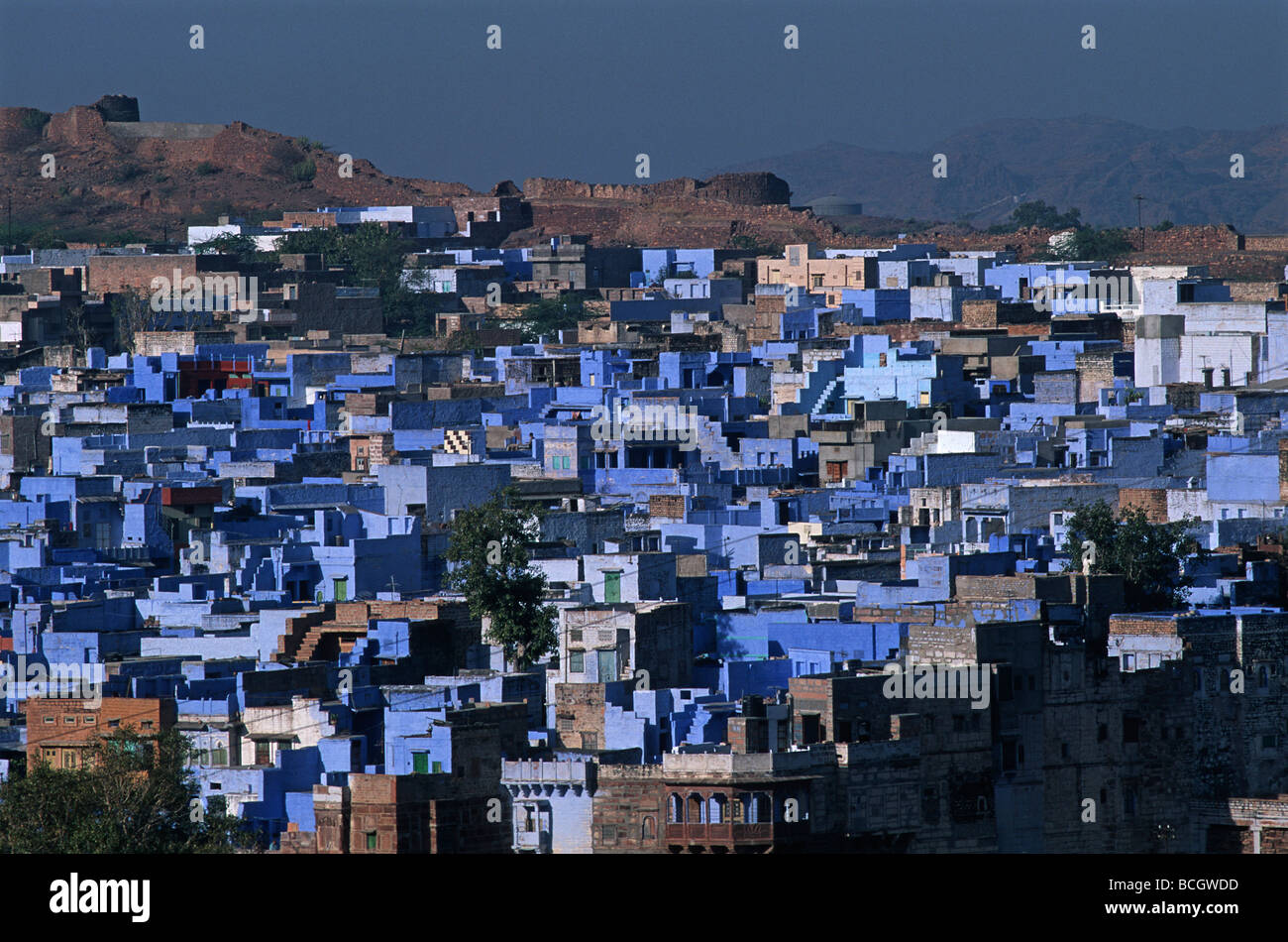 Inde Rajasthan Jodhpur la ville bleue Banque D'Images