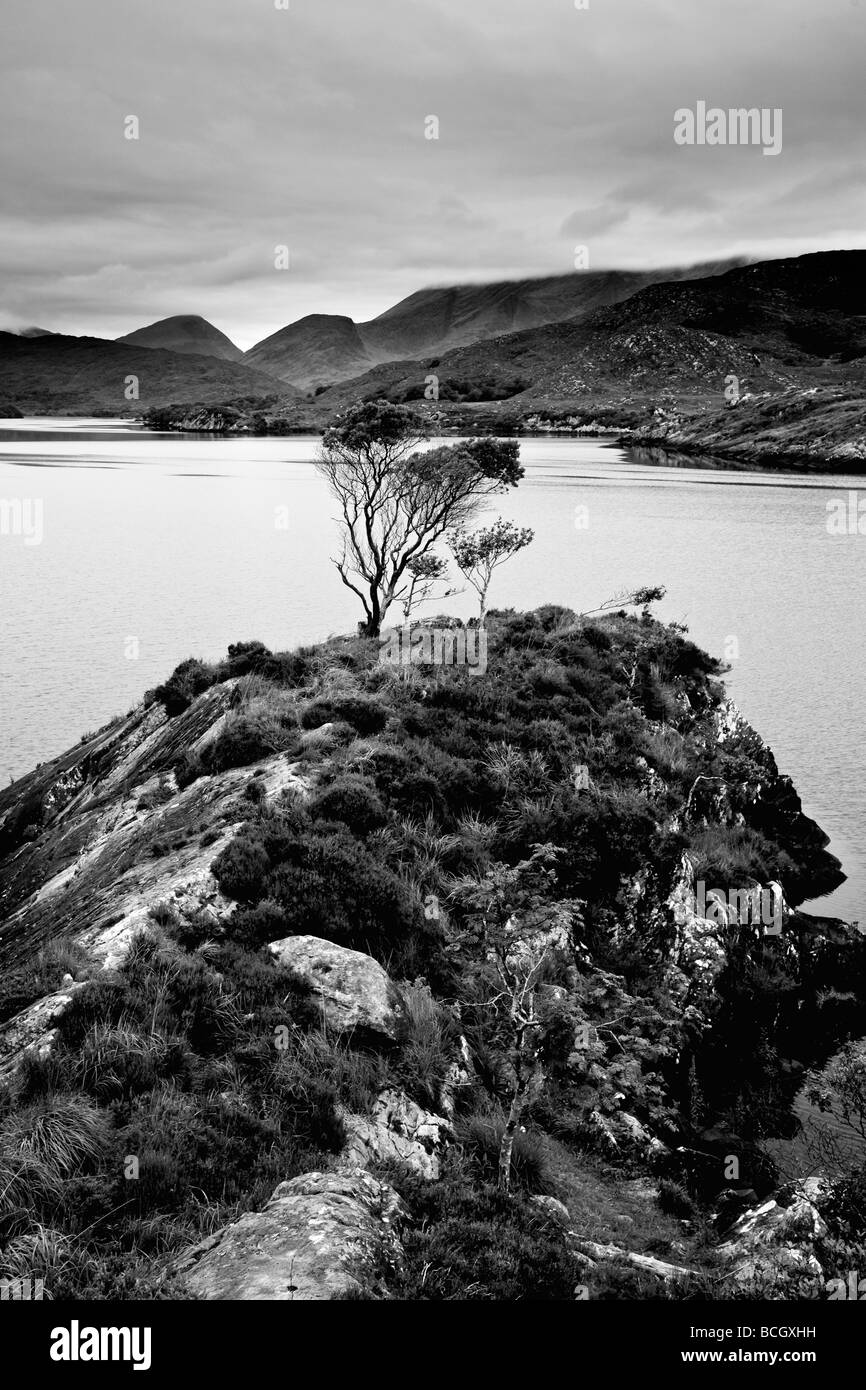 Le Lac Supérieur du parc national des lacs de Killarney Killarney Comté de Kerry au sud-ouest de l'Irlande Banque D'Images