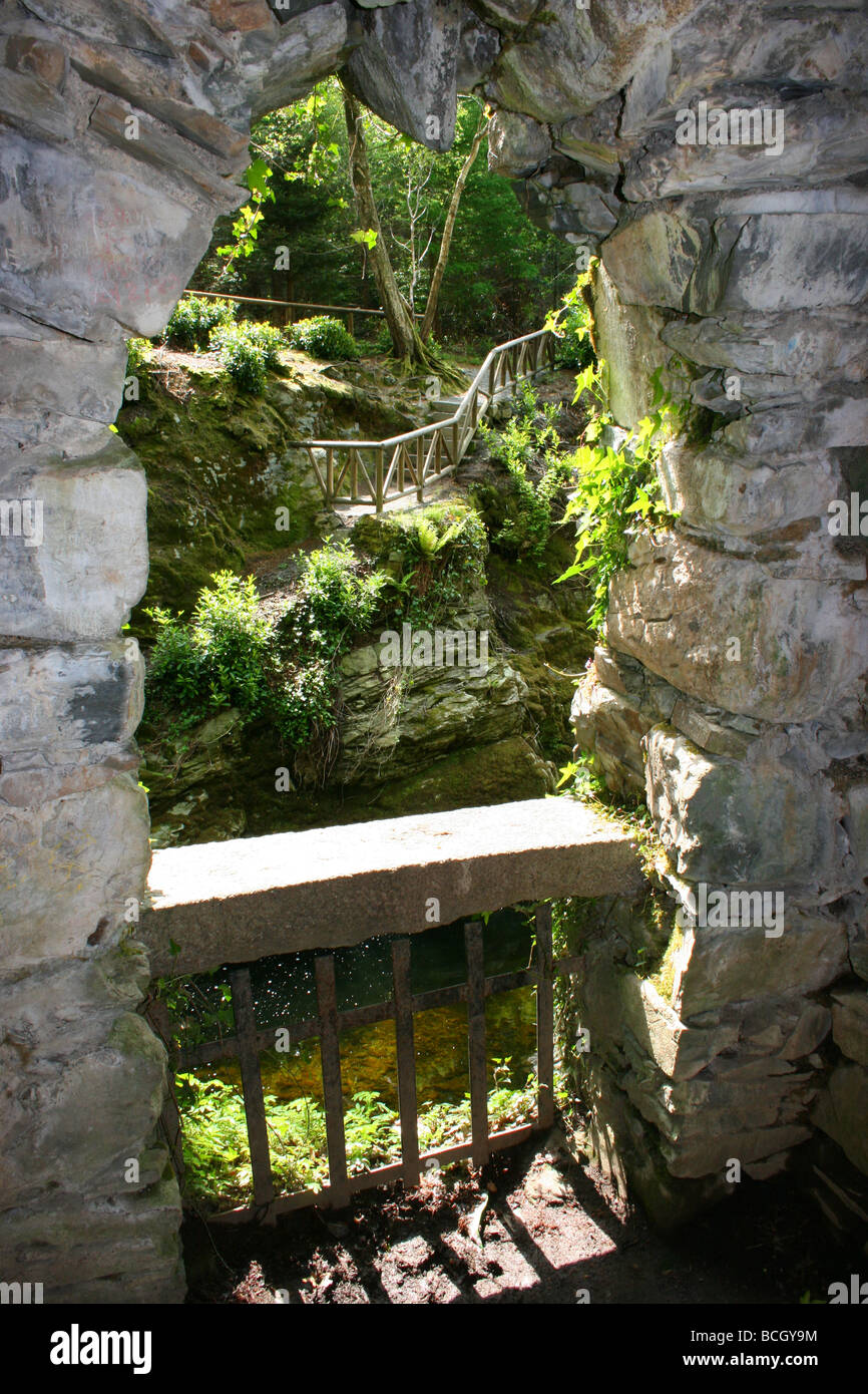 À partir de l'Ermitage à Tollymore Forest Park, comté de Down, Irlande du Nord Banque D'Images