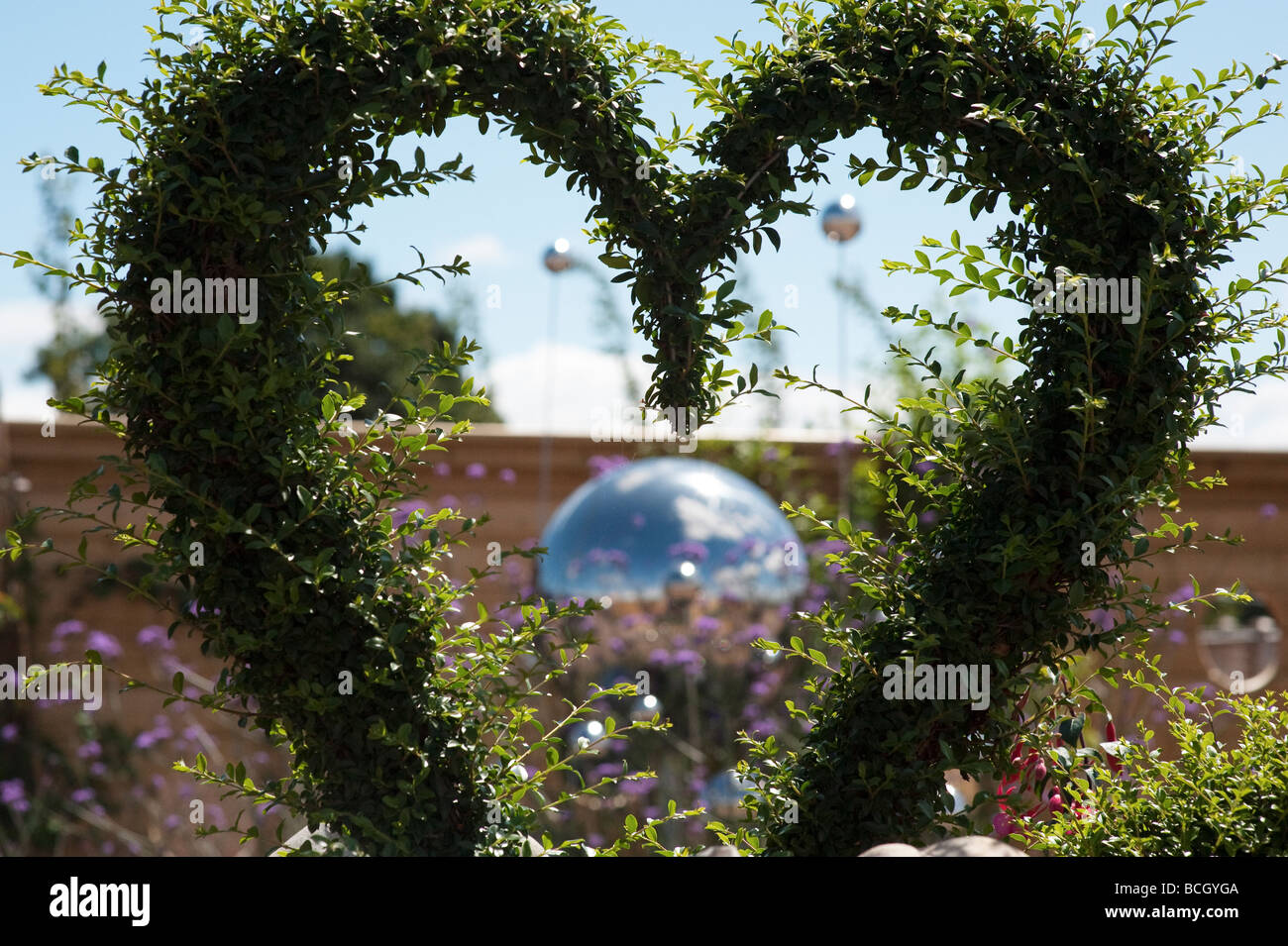 Topiaire en forme de coeur à l'avenir des jardins, Butterfly World, Angleterre Banque D'Images
