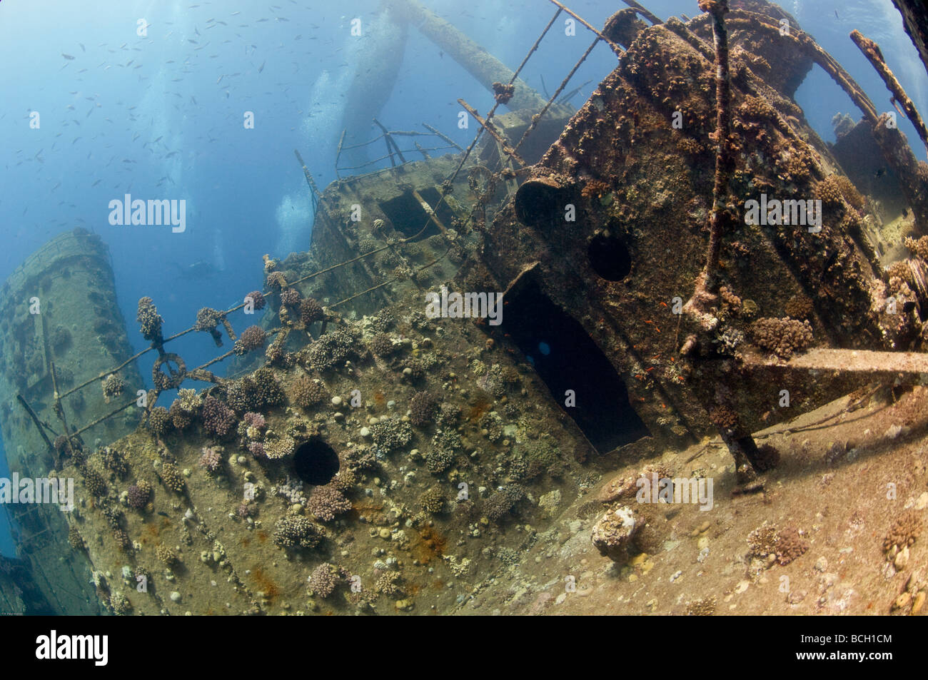 Vue de la superstructure de la 'Giannis D.' naufrage sur la submergée Abu Nuhas reef, dans la mer Rouge. Banque D'Images