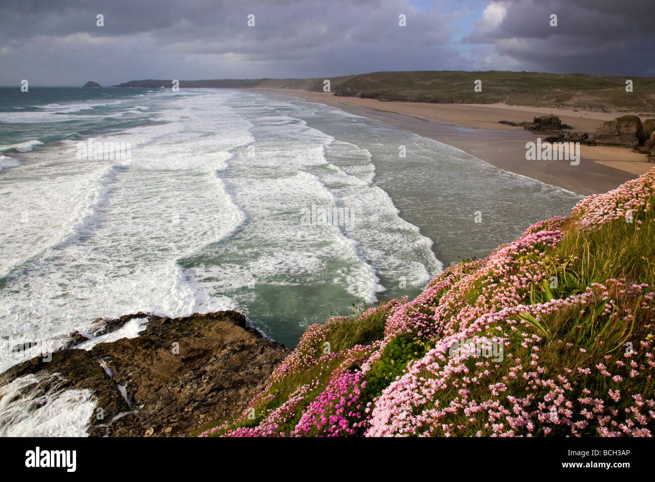 Broad oak beach avec l'épargne en fleur Cornwall Banque D'Images