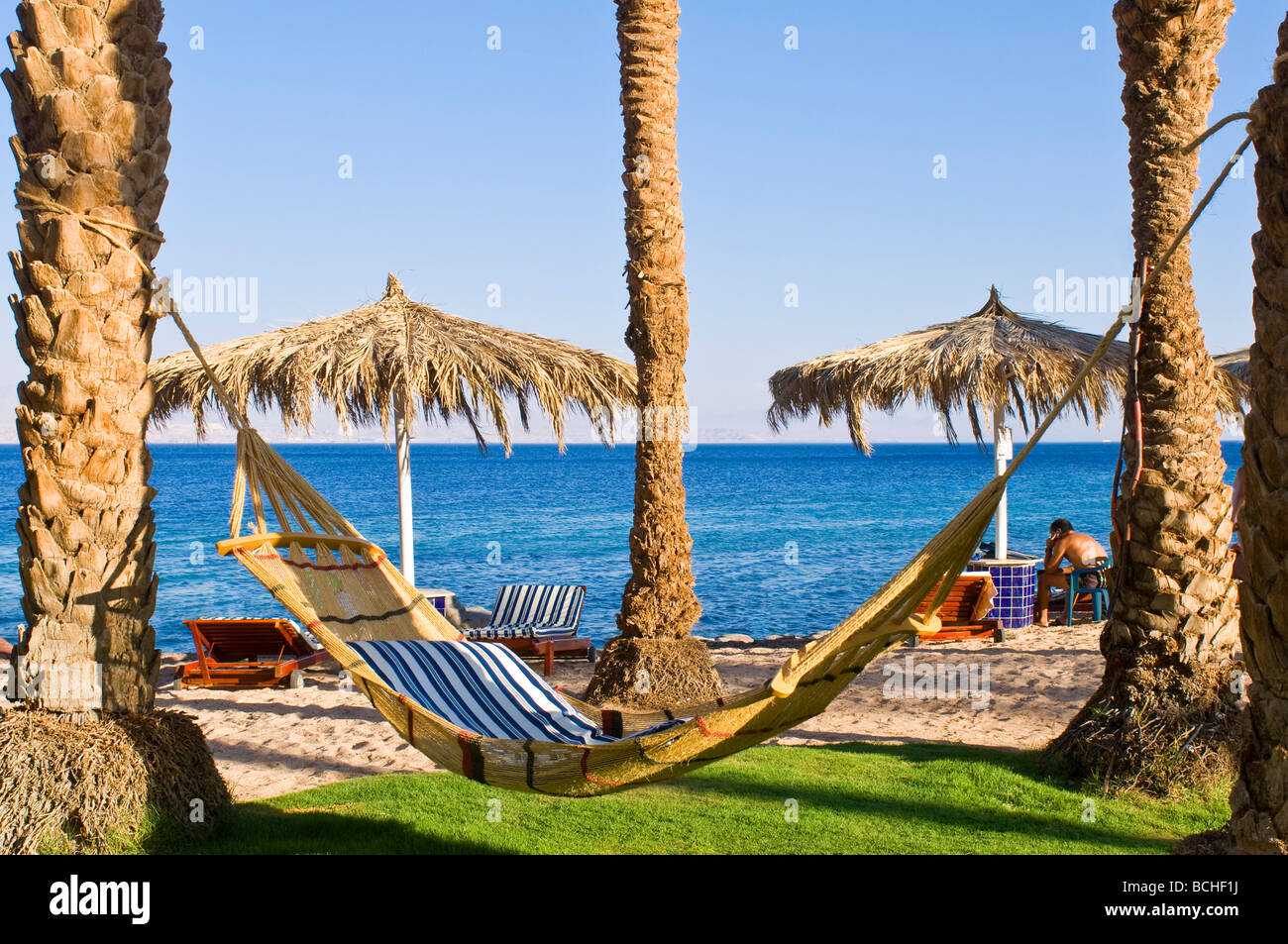 Grand angle horizontal d'une chaîne de caractères vide hamac attaché entre deux palmiers avec vue sur la mer Rouge et la plage au soleil Banque D'Images