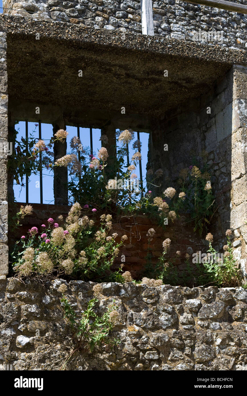 Fenêtre en ruine Banque de photographies et d’images à haute résolution ...