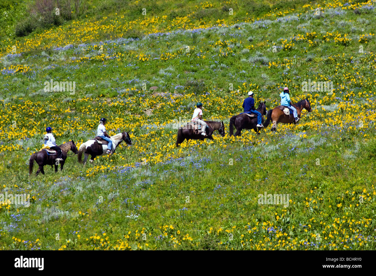 Les touristes de partir sur une randonnée à cheval ci-dessous Snodgrass Mountain Mount Crested Butte Colorado USA Banque D'Images