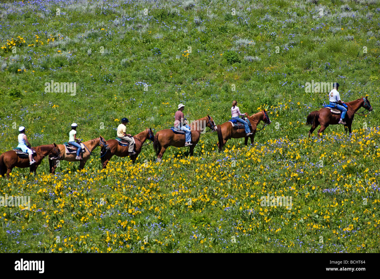 Les touristes de partir sur une randonnée à cheval ci-dessous Snodgrass Mountain Mount Crested Butte Colorado USA Banque D'Images
