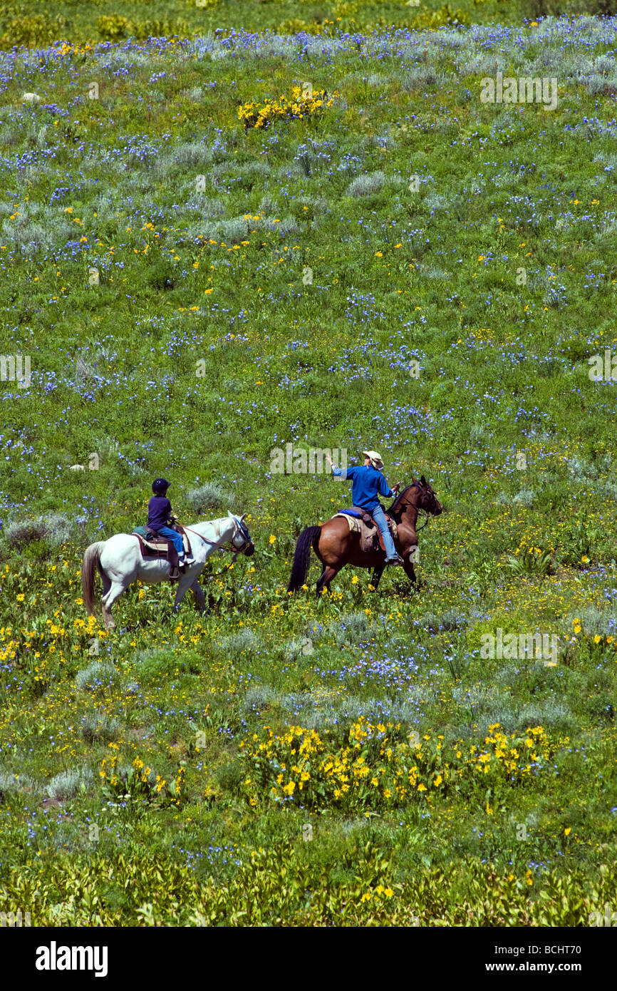 Les touristes de partir sur une randonnée à cheval ci-dessous Snodgrass Mountain Mount Crested Butte Colorado USA Banque D'Images