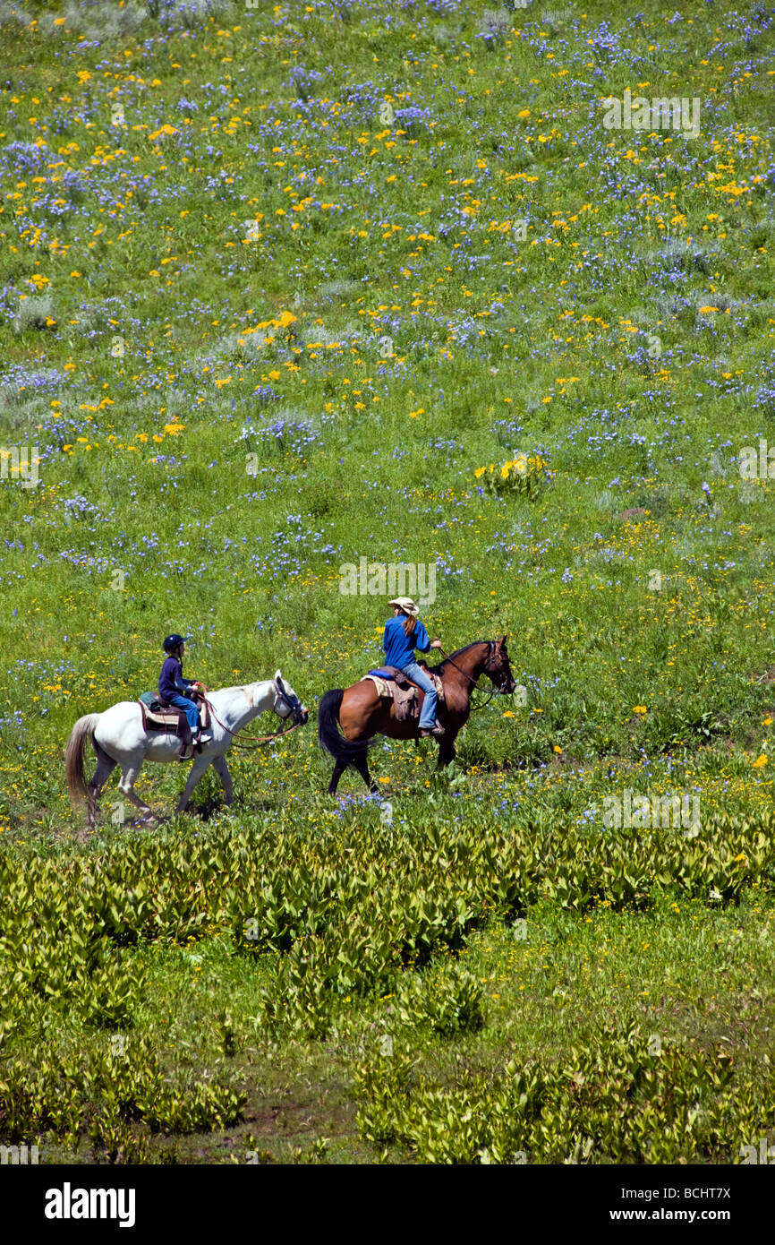 Les touristes de partir sur une randonnée à cheval ci-dessous Snodgrass Mountain Mount Crested Butte Colorado USA Banque D'Images