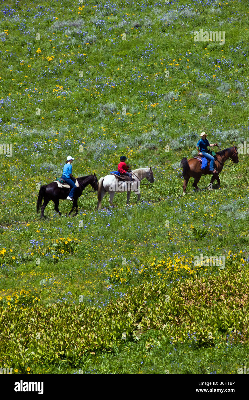 Les touristes de partir sur une randonnée à cheval ci-dessous Snodgrass Mountain Mount Crested Butte Colorado USA Banque D'Images