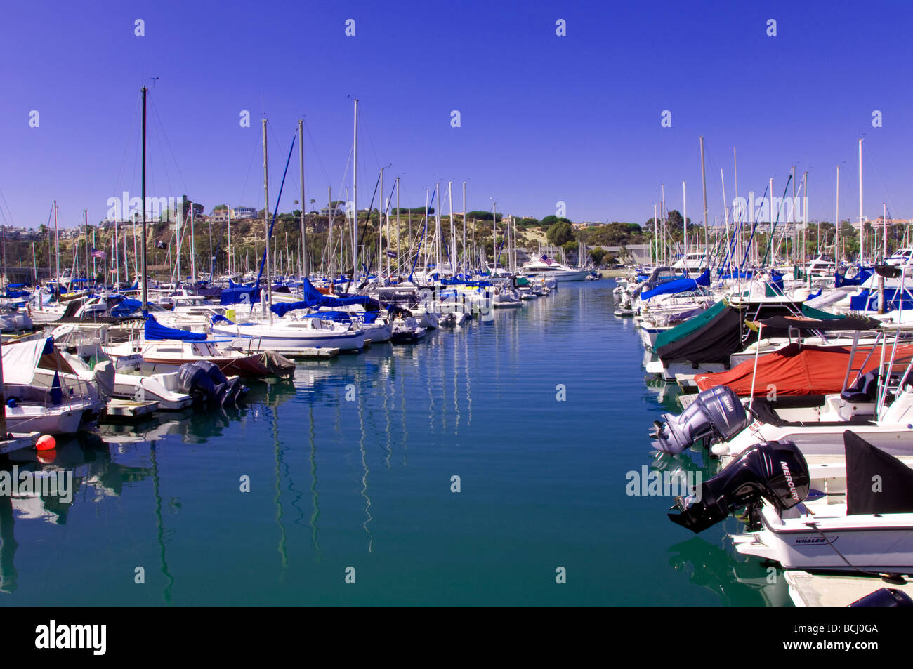 Yachts, Dana Point, Californie, USA Banque D'Images