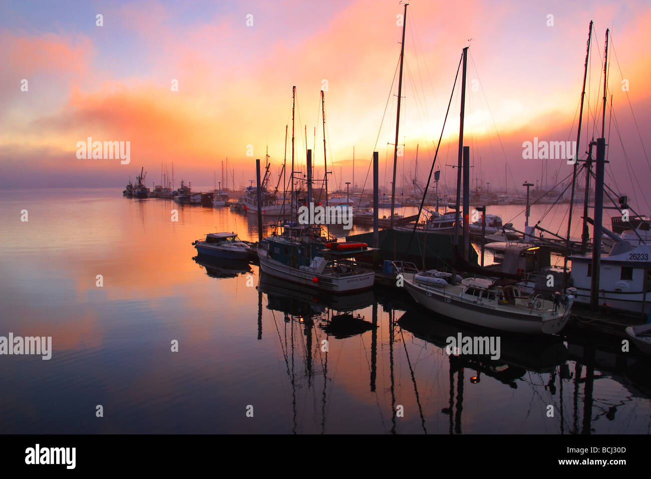 Juneau Boat Harbour au coucher du soleil dans le brouillard numérique AK Banque D'Images