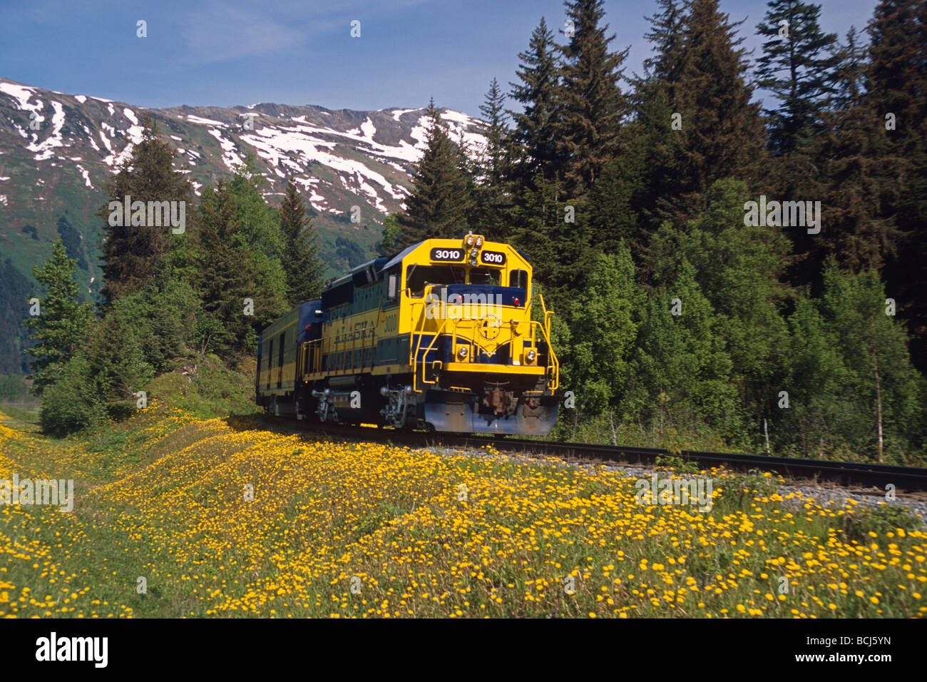 AK Railroad Passenger train le long de l'été SC AK Turnagain Arm près de Girdwood Banque D'Images