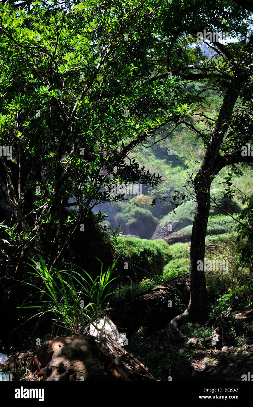 À la recherche vers le bas dans le ravin à Elephant Falls Thac (VOI), Da Lat, Viet Nam Banque D'Images