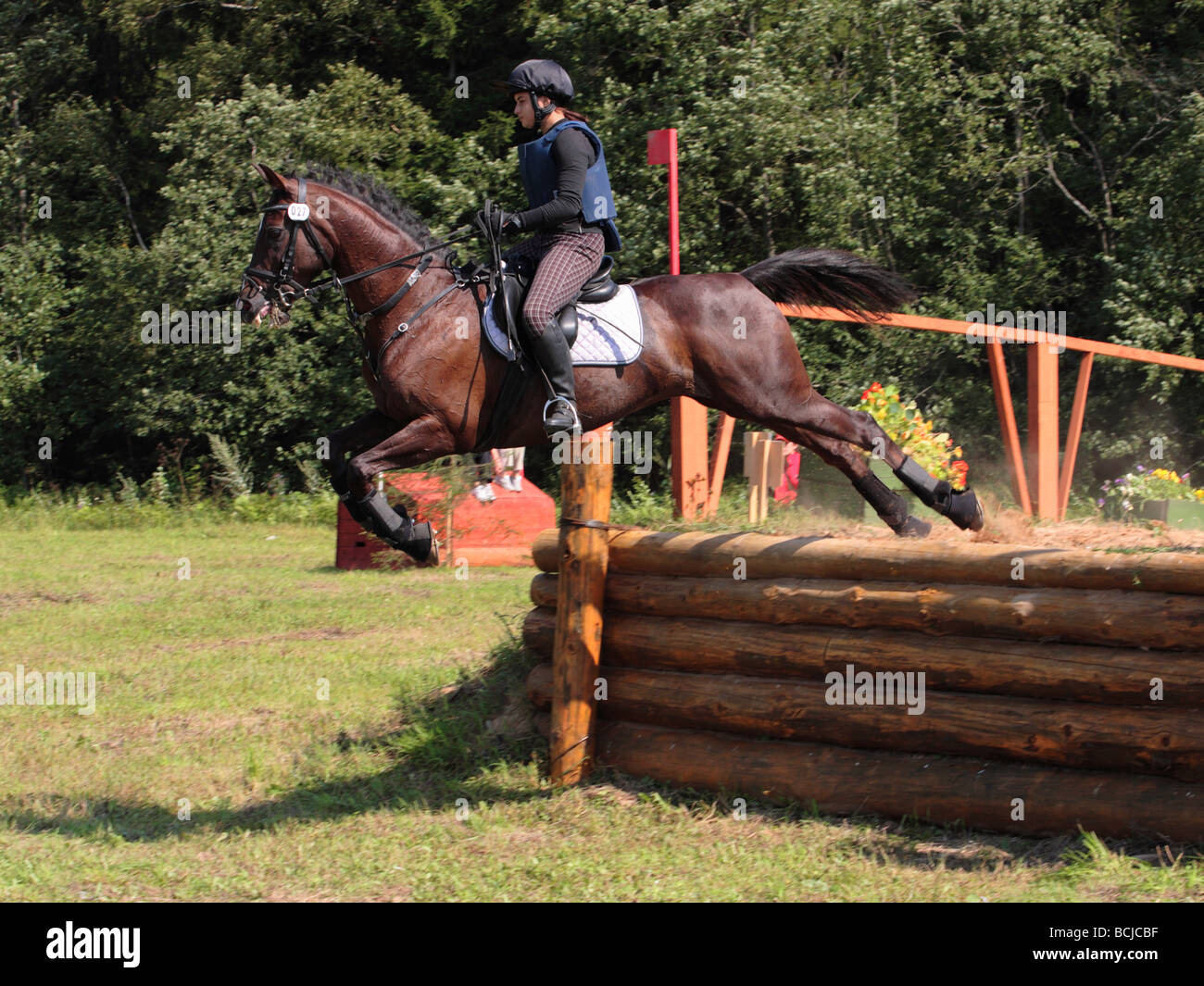 Le procès-cavalier sautant sur un cheval Banque D'Images