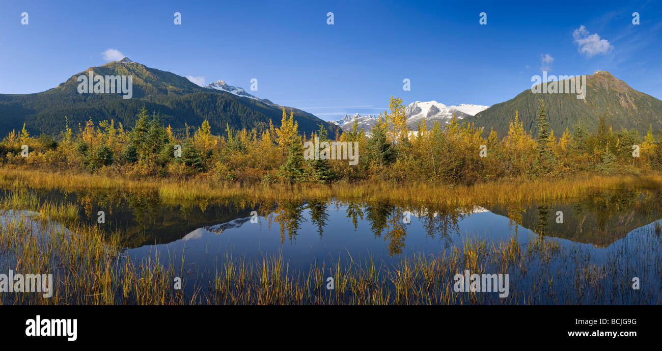Scène d'automne de l'évolution des arbres se reflétant dans la région de Mendenhall Lake avec l'arrière-plan les montagnes côtières du sud-est de l'Alaska Banque D'Images