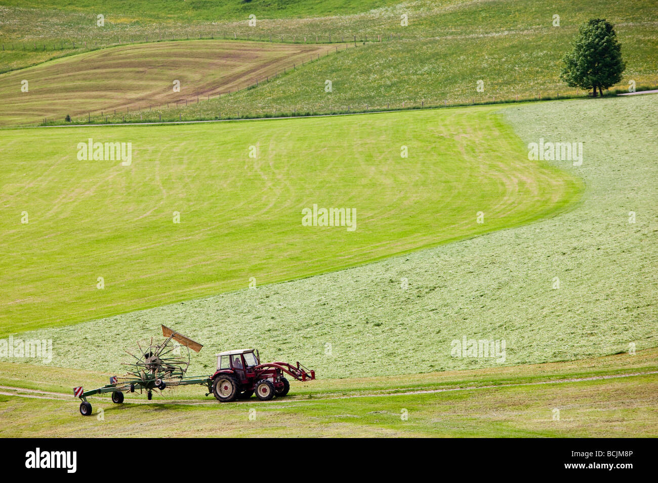 Allemagne, Bayern/Bavière, Wildsteig, champs de printemps et le tracteur sur la Deutsche Alpenstrasse Banque D'Images