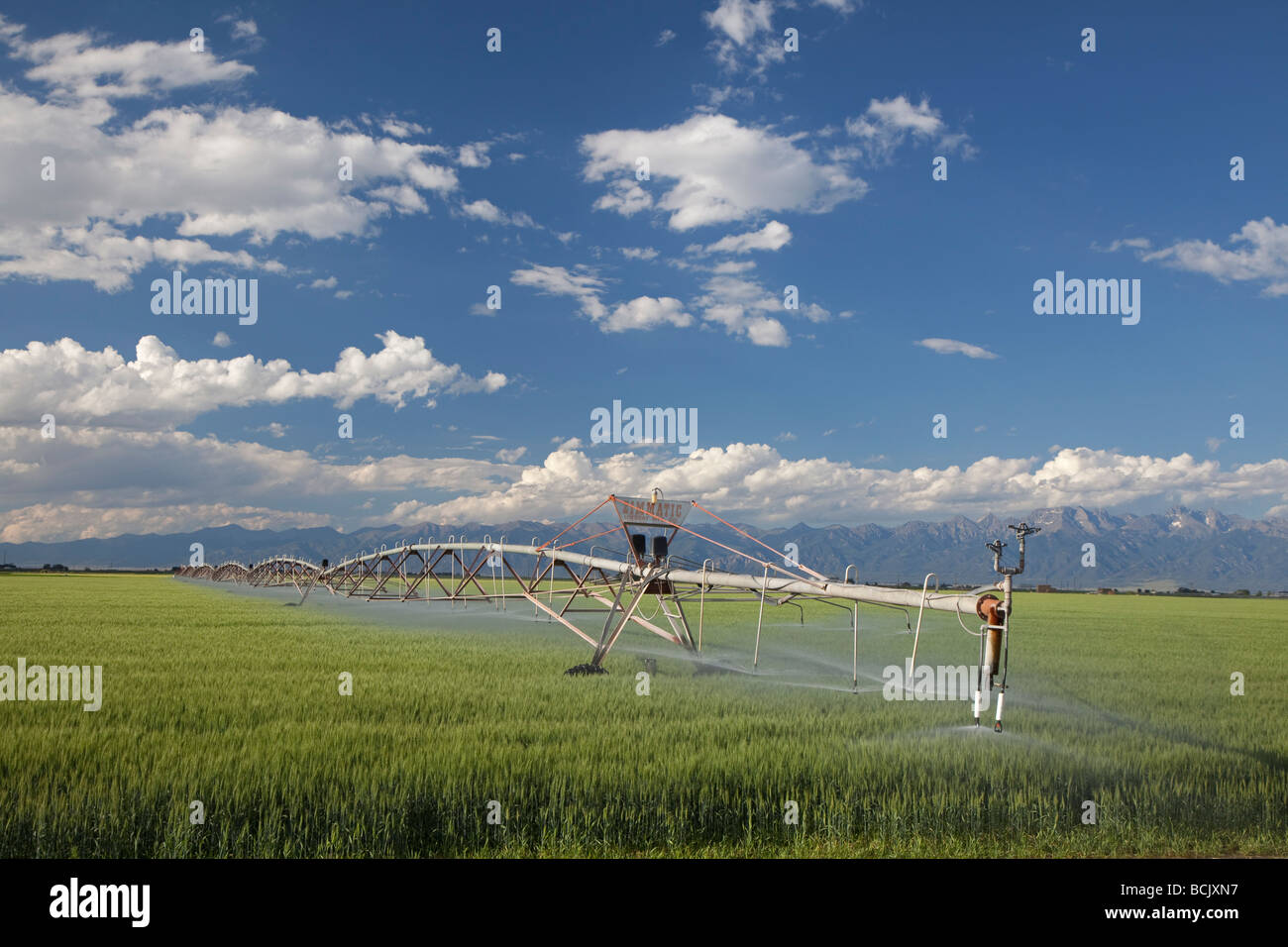 Alamosa Colorado un système d'irrigation à pivot central d'une campagne agricole des eaux dans le haut désert de la vallée de San Luis Banque D'Images
