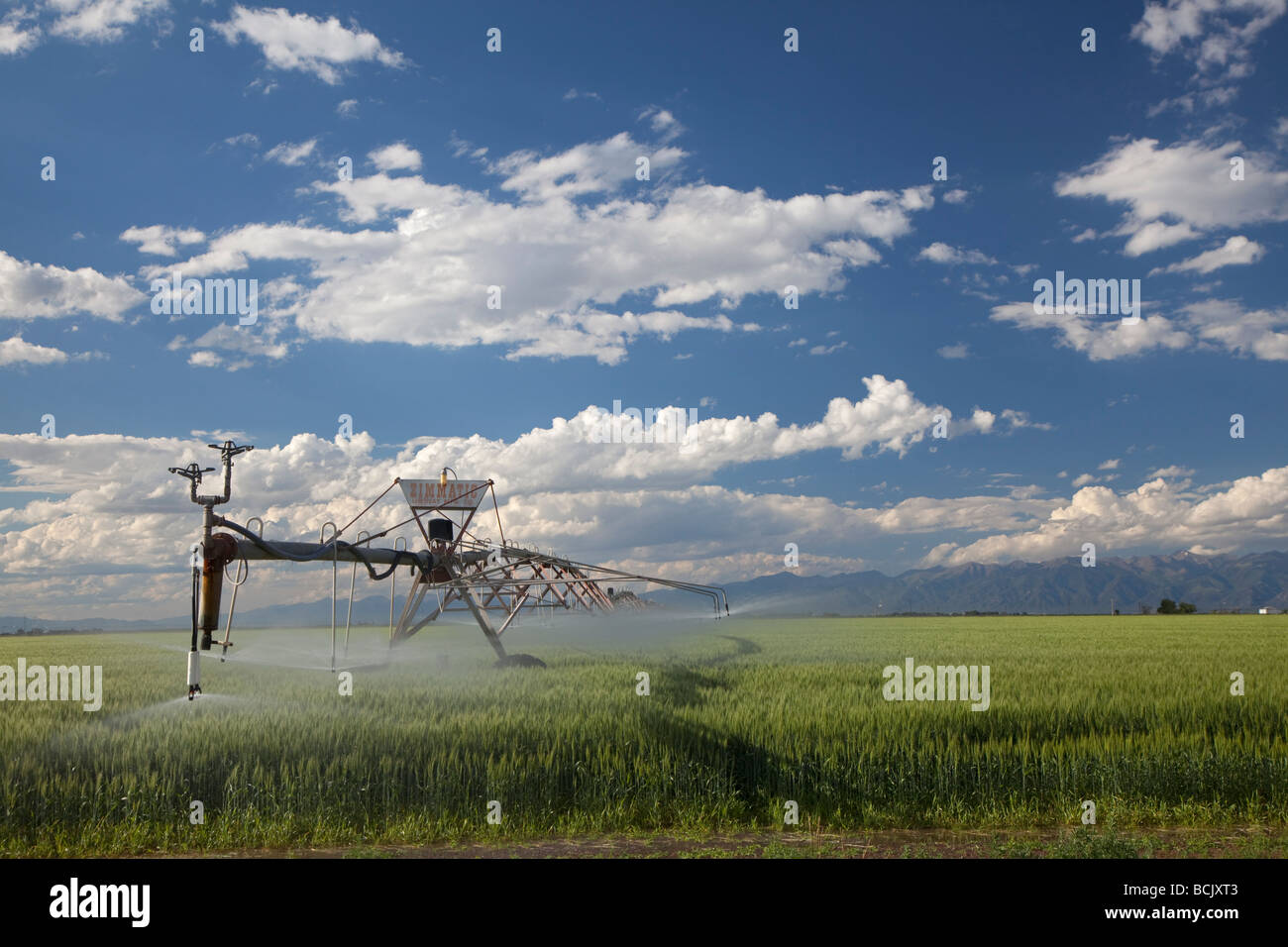 Alamosa Colorado un système d'irrigation à pivot central d'une campagne agricole des eaux dans le haut désert de la vallée de San Luis Banque D'Images