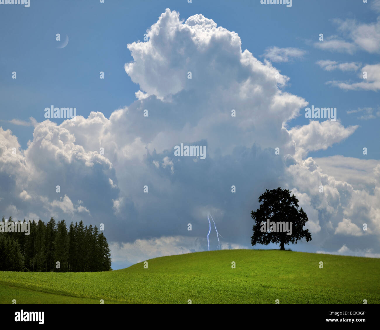 DE - BAVARIA : orage approcher avec Lone Tree Banque D'Images