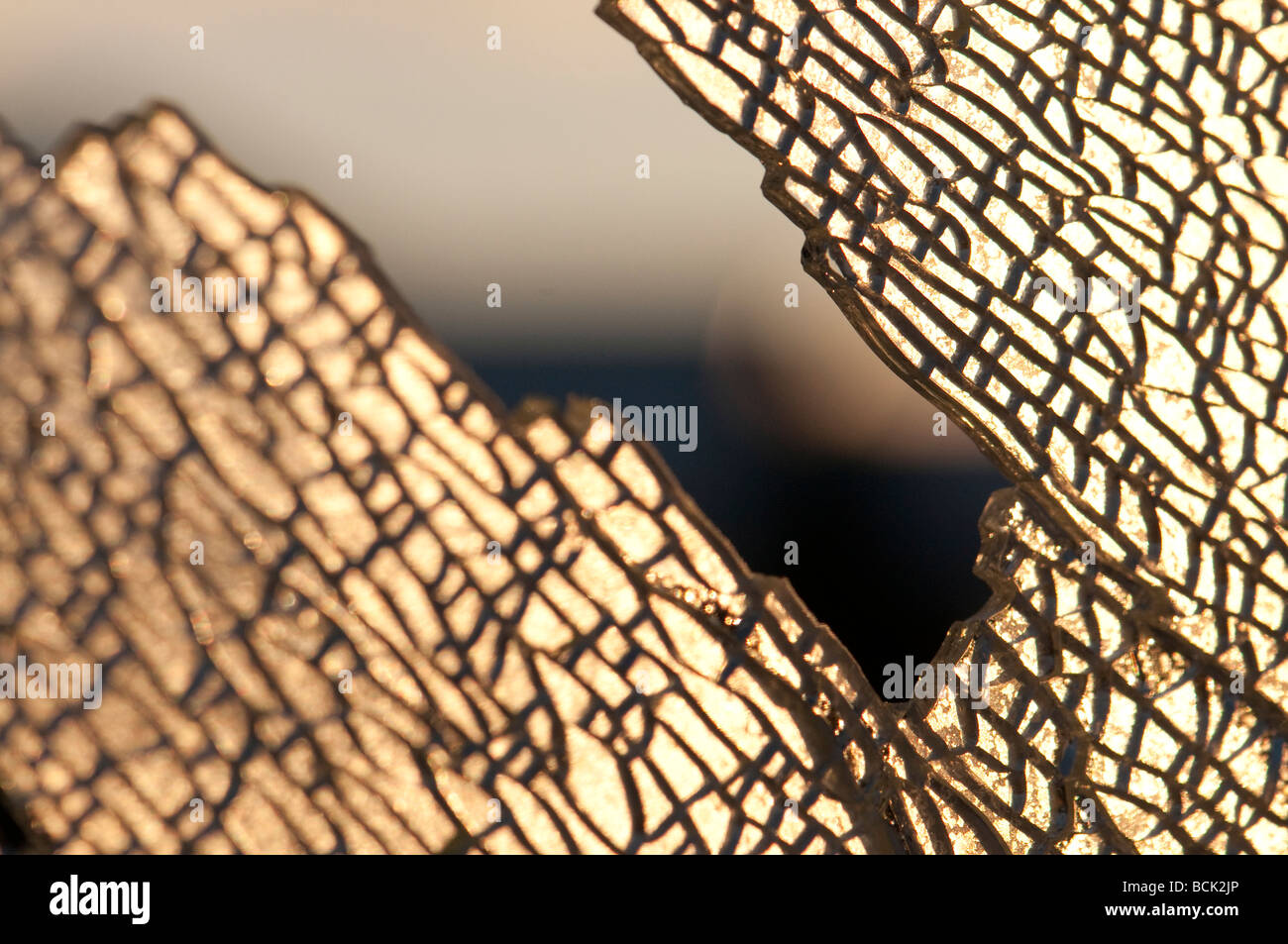 Verre brisé Abstract Banque D'Images