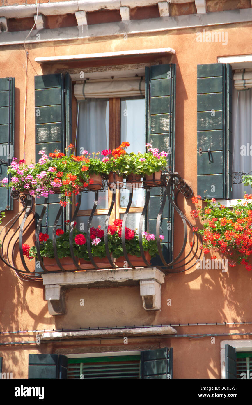 Venise - fenêtre avec sg corbeille et les jardinières de fleurs Banque D'Images