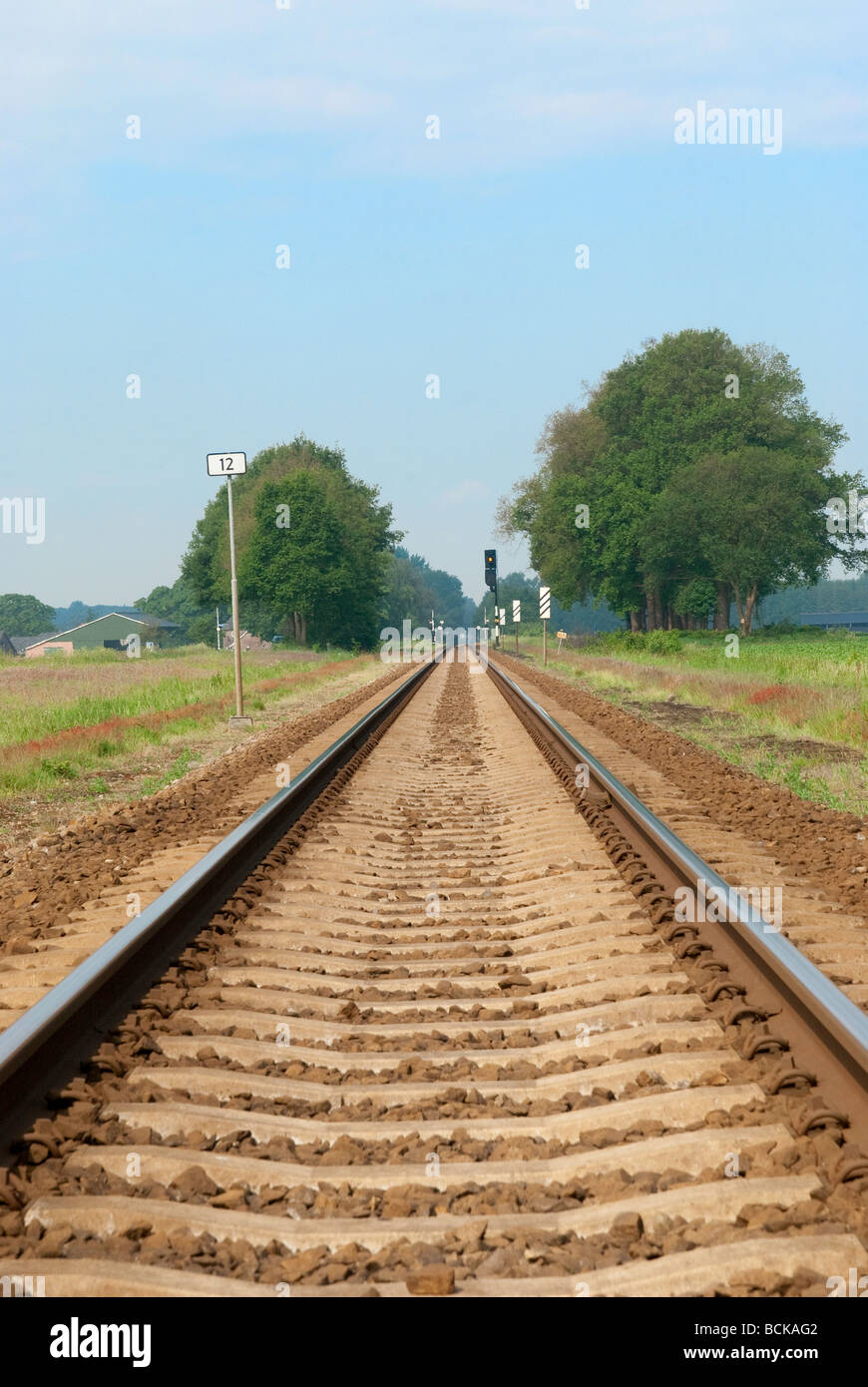 Les voies menant vers l'horizon avec de part et d'autre arbres verts et des champs d'herbe verte Banque D'Images