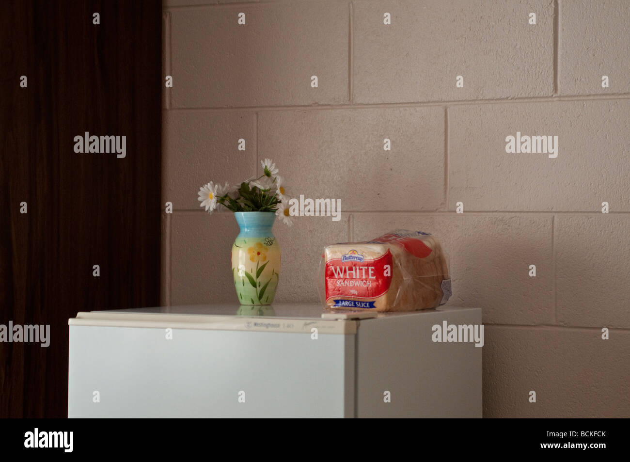 Marguerites dans un vase et des tranches de pain blanc Renoncule sur le dessus d'un réfrigérateur dans un motel en Australie Banque D'Images