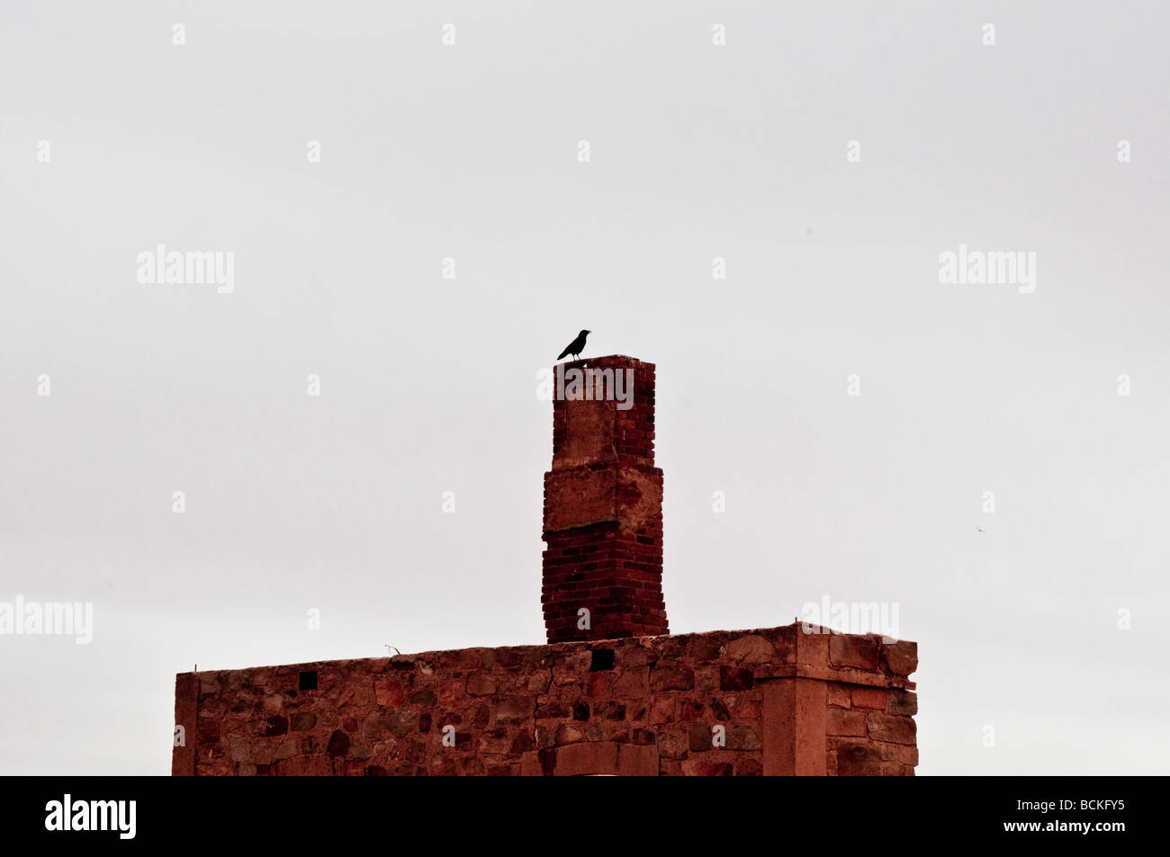 Crow au sommet d'une cheminée en ville déserte de Silverton Australie Banque D'Images