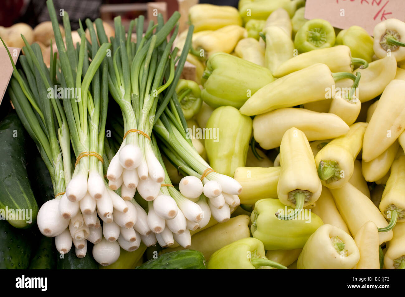 Les jeunes concombres vert oignon liants et poivron vert jaune sont vendus au marché des légumes Banque D'Images