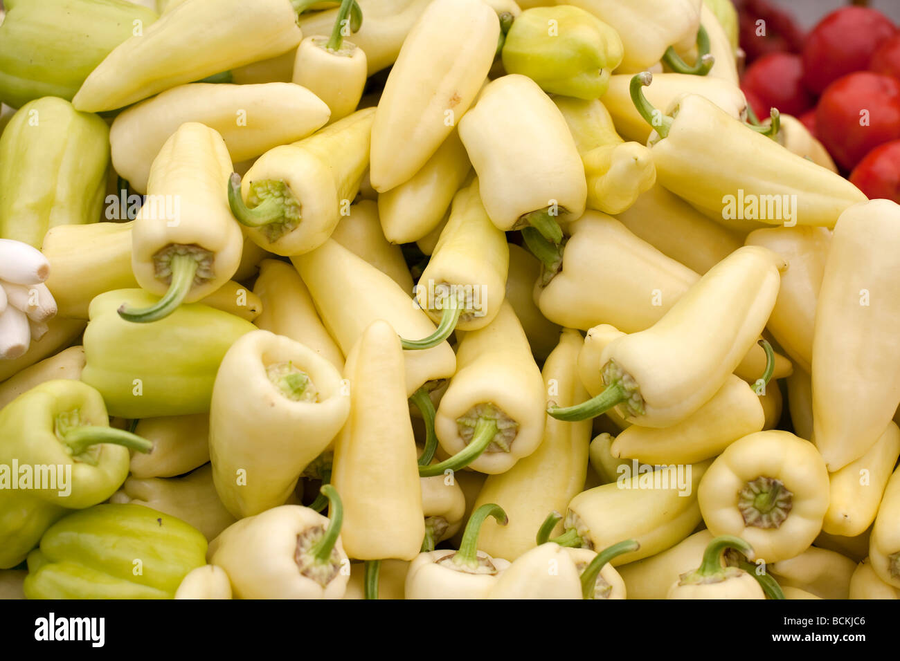 Poivron vert et jaune sont vendus au marché des légumes Banque D'Images