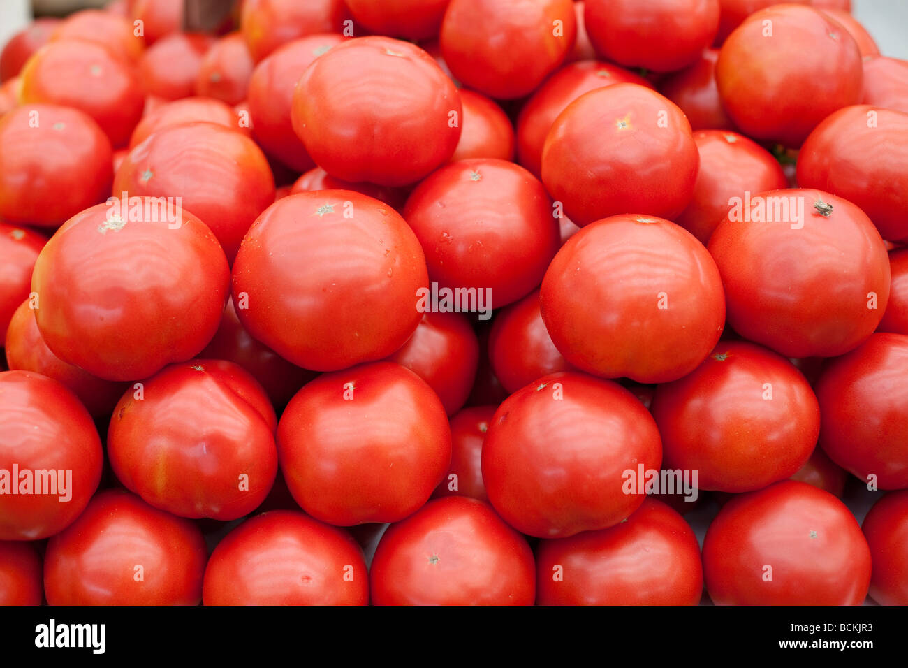 Rouge mûre cultivés naturellement les tomates vendues sur le marché des légumes Banque D'Images