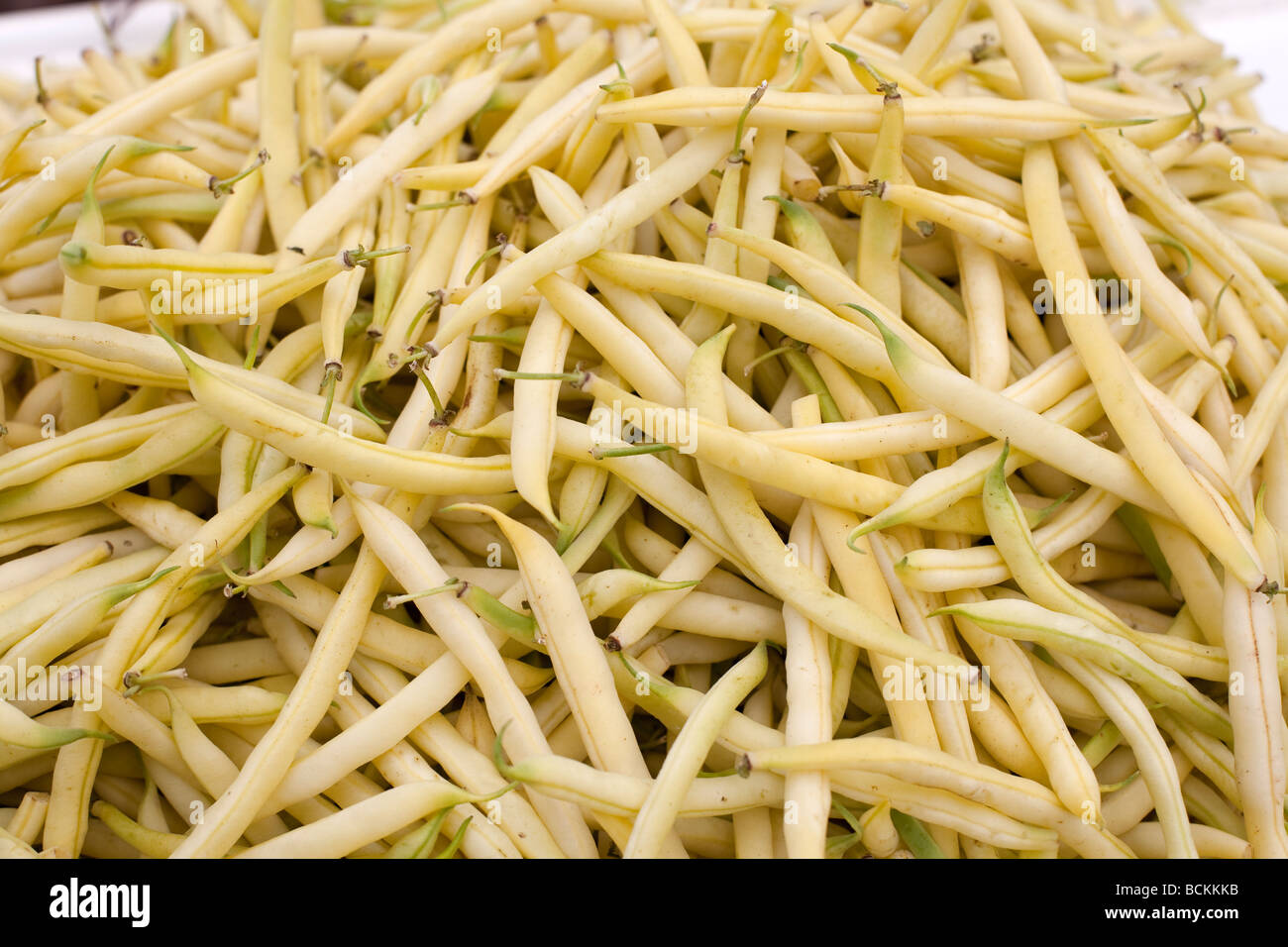 Vert et jaune coloré cultivés naturellement graines vendues au marché des légumes Banque D'Images