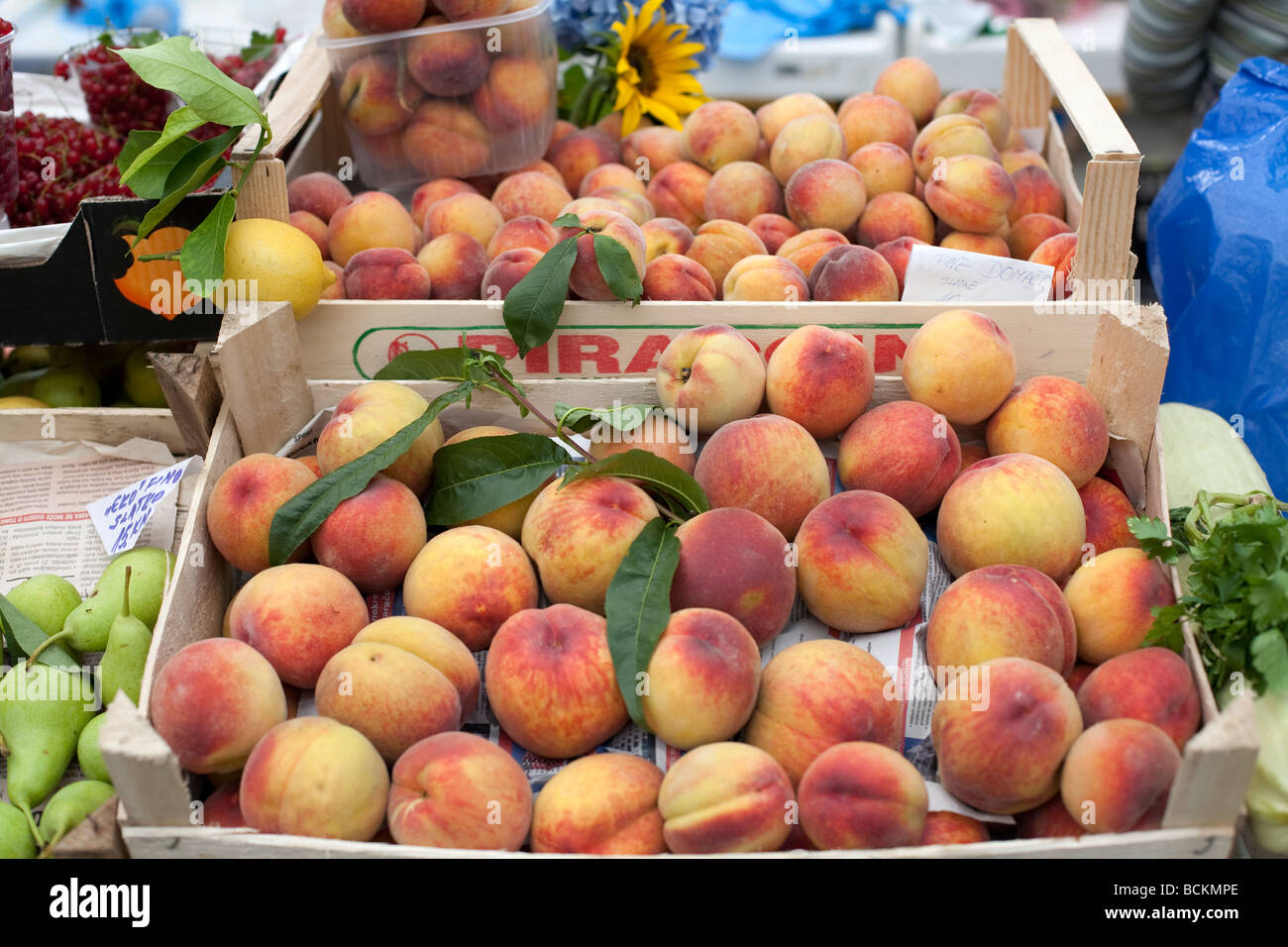 Les fruits cultivés naturellement vendus sur le marché les pêches dans une caisse en bois Banque D'Images