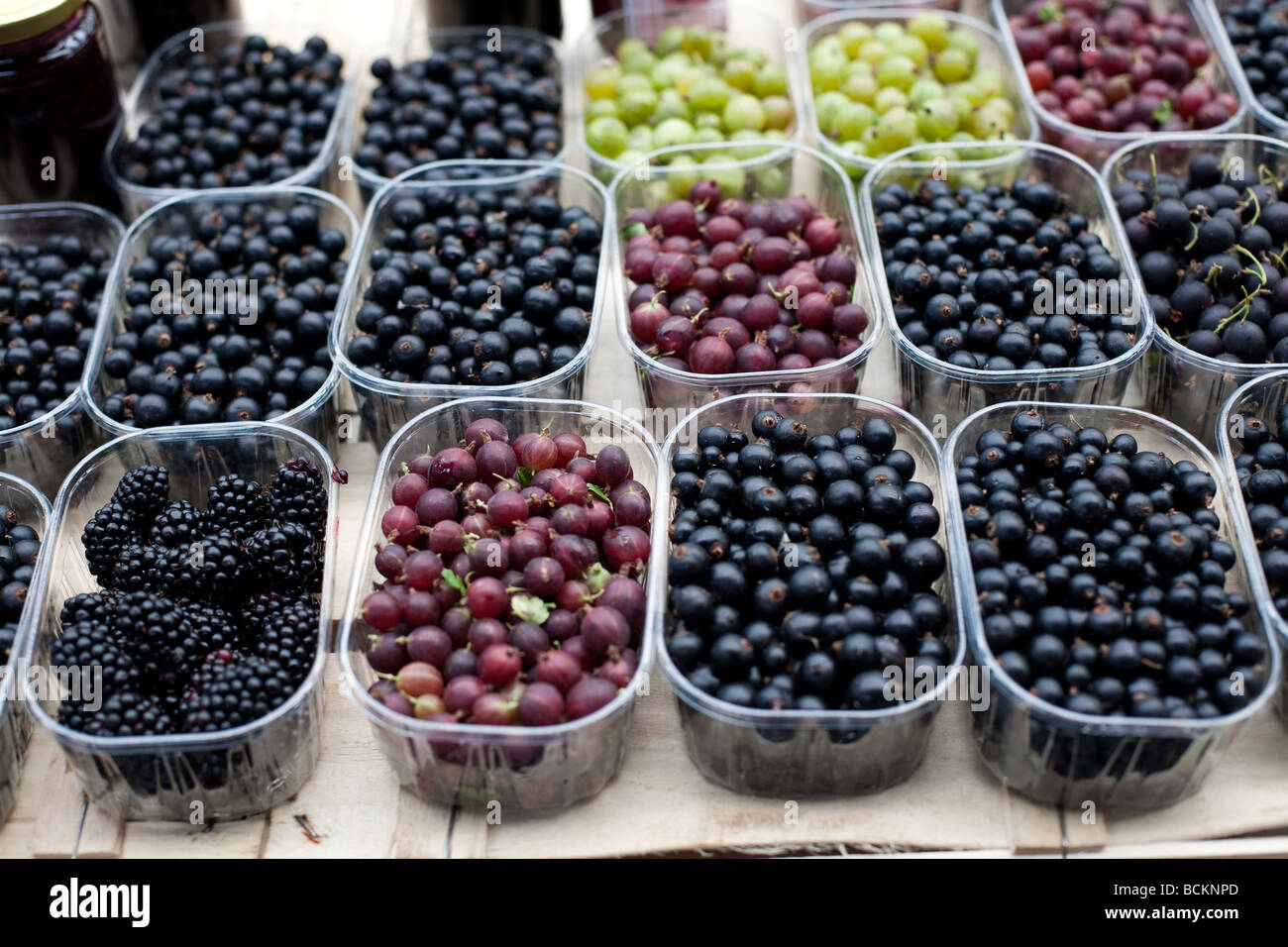 Les fruits cultivés naturellement vendus sur le marché de cassis et groseilles Blackberry dans des contenants en plastique Banque D'Images